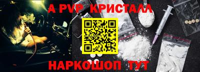 молекула духа Будённовск