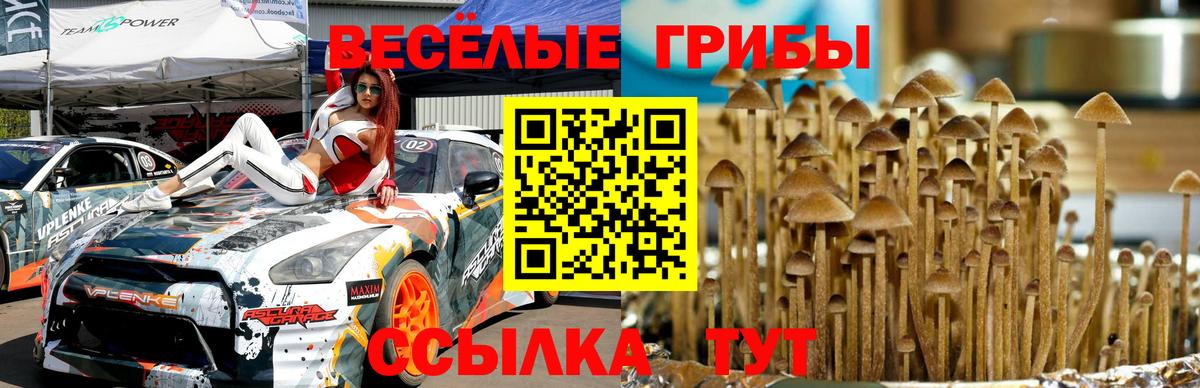 Галлюциногенные грибы Magic Shrooms Чистополь